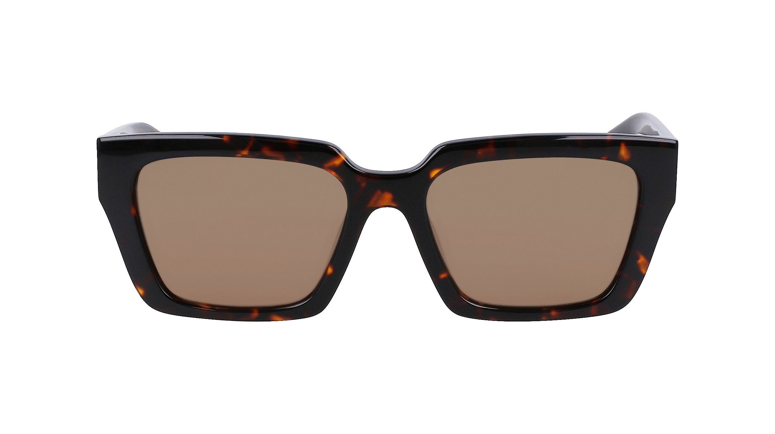 TARRAN TORTOISE/LL BROWN